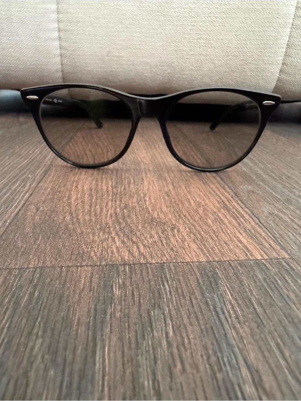 Ray-Ban Black Rounded Frame Sunglasses